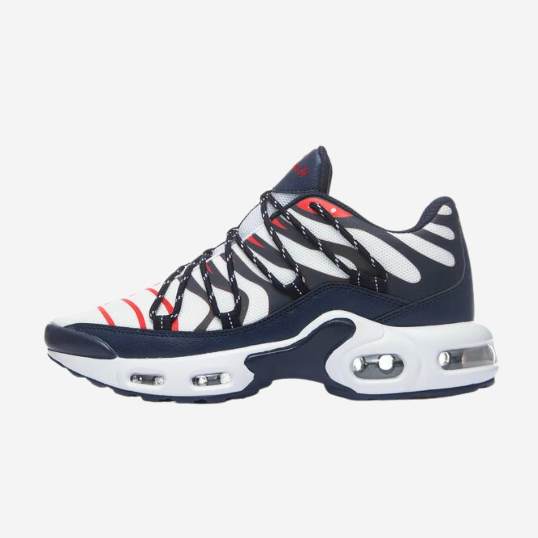 D.C Ravenous Sneakers
